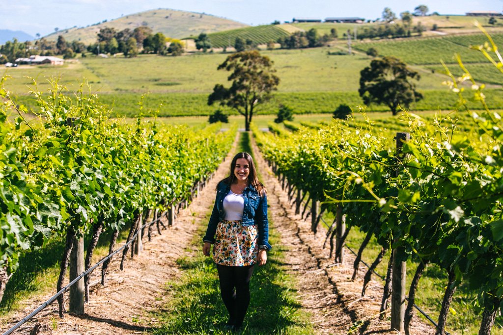 Yarra Valley Wine Tour: A Melbourne Must-Do | Frugal Frolicker