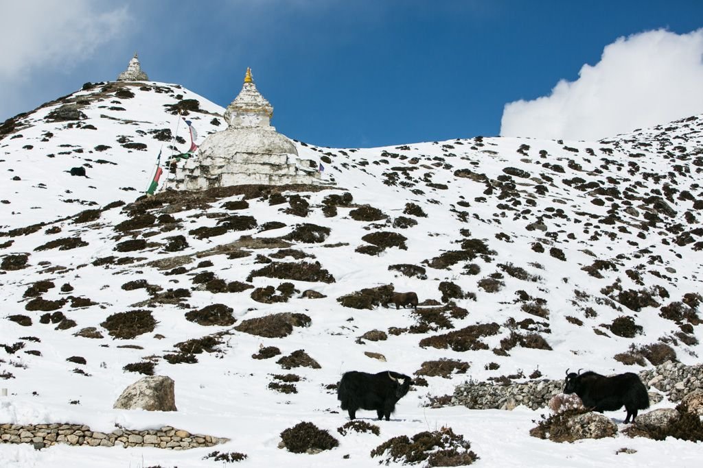 dingboche