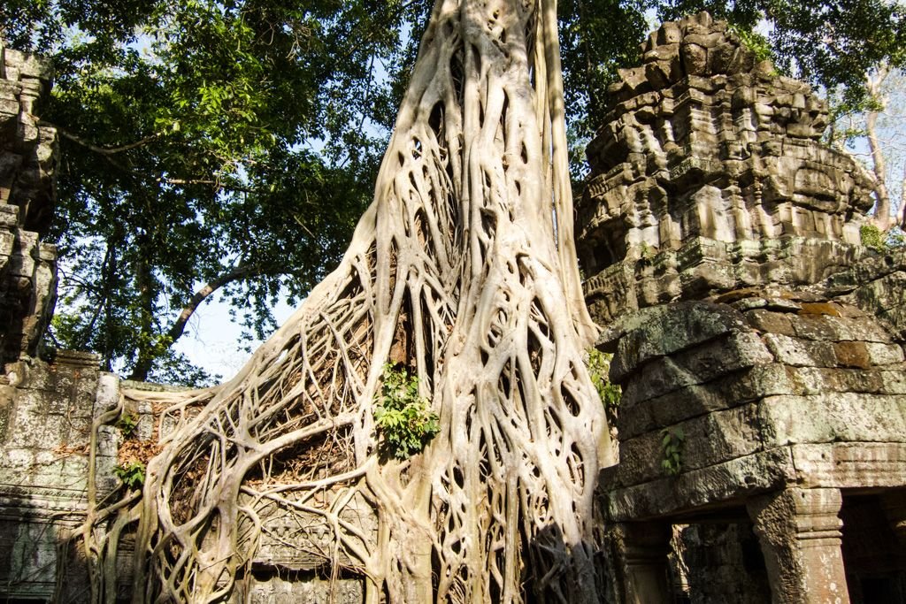 angkor wat