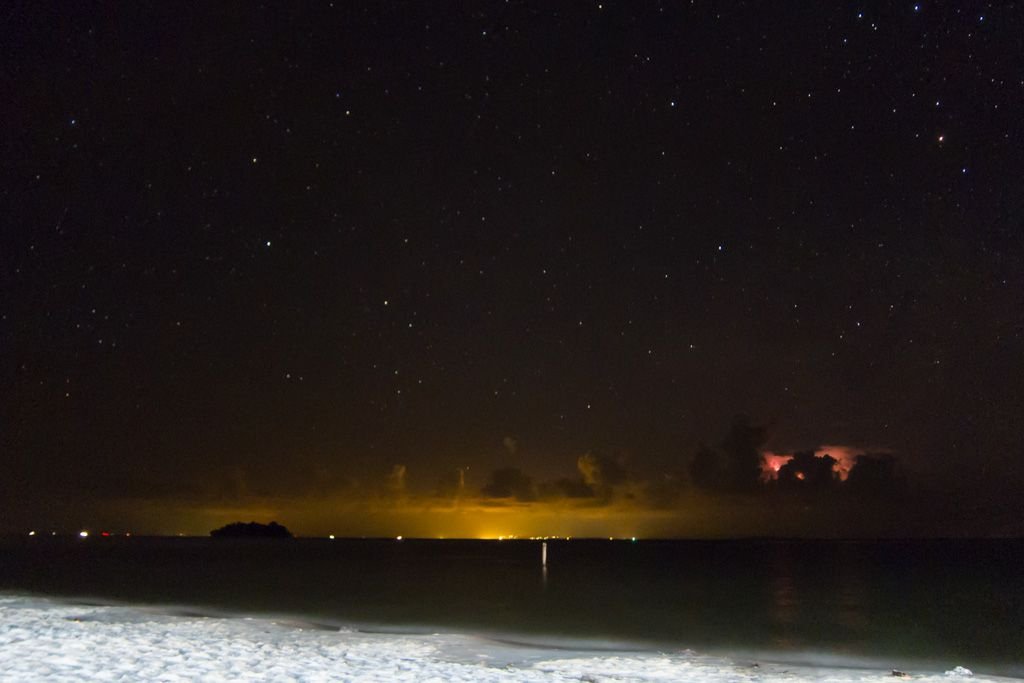 koh rong plankton