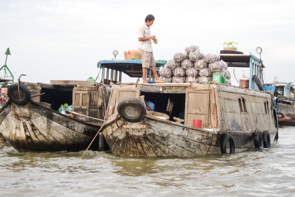 mekong delta on your own