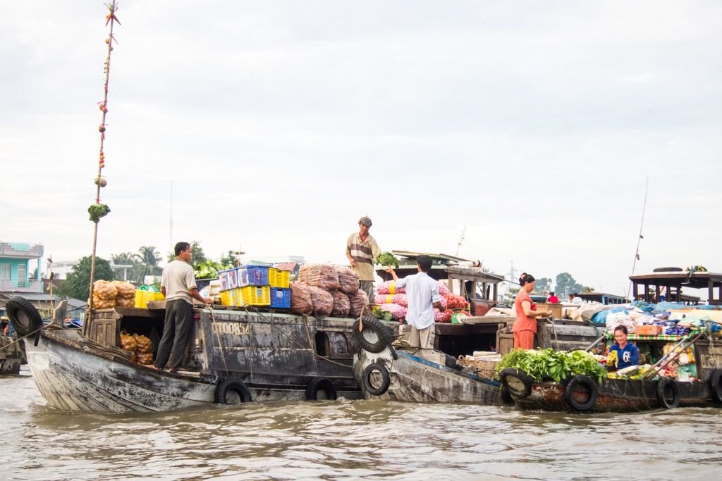 mekong delta on your own