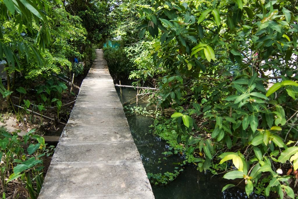 mekong delta backpacking