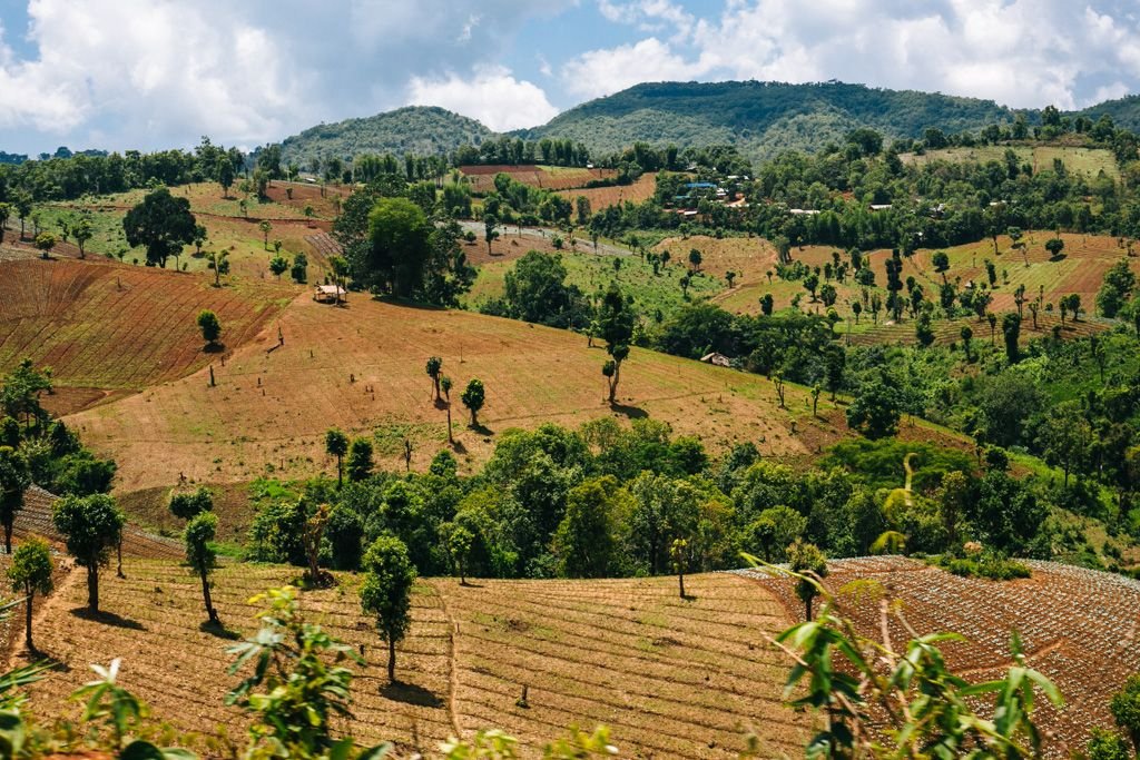 chiang mai trekking