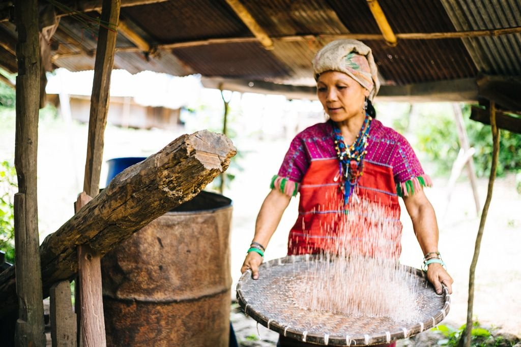 chiang mai trek