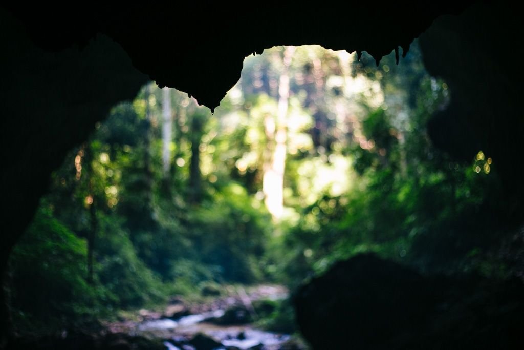 chiang mai trekking