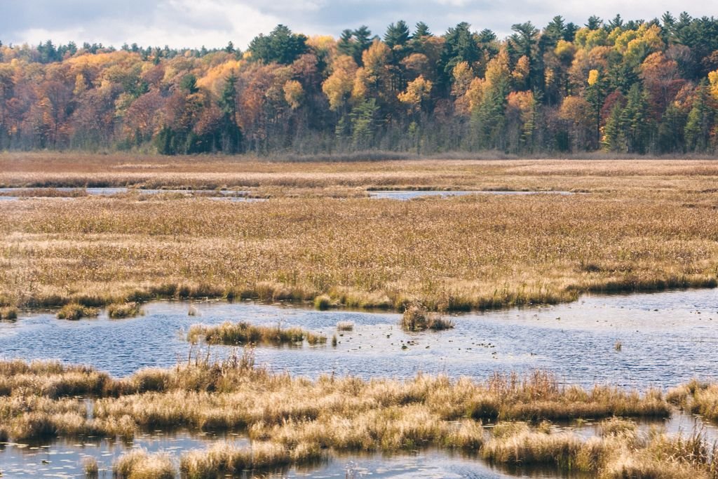 amtrak adirondack trein naar montreal