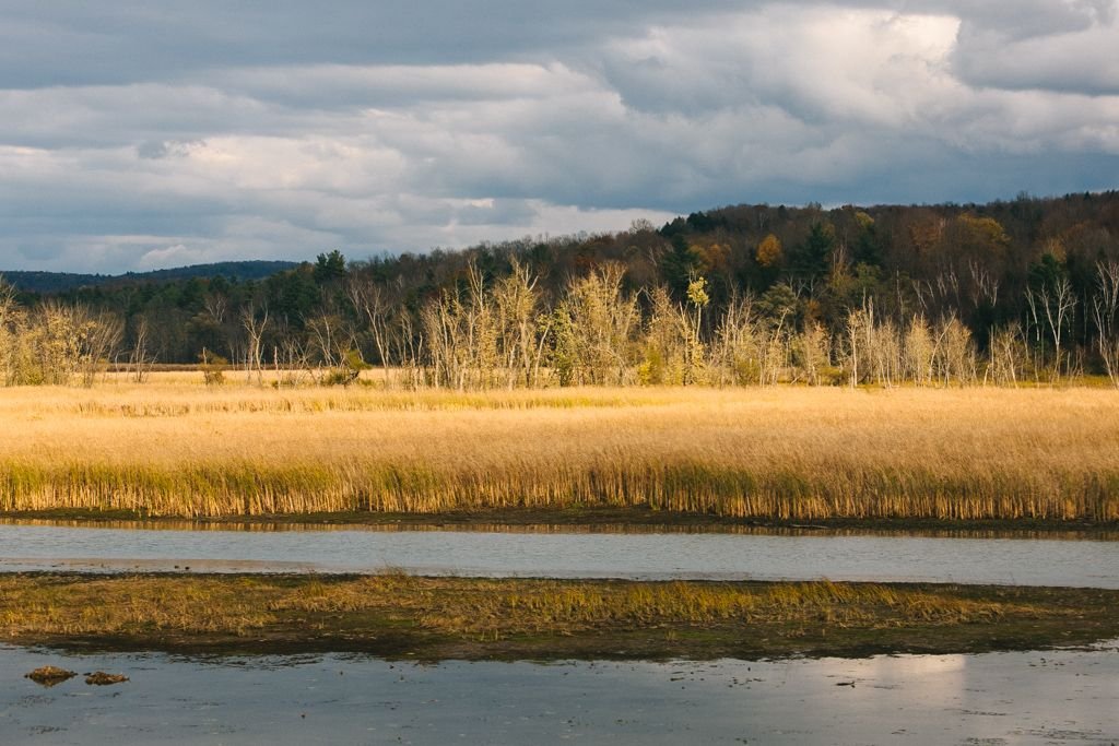 Amtrak Adirondack Zug nach Montreal