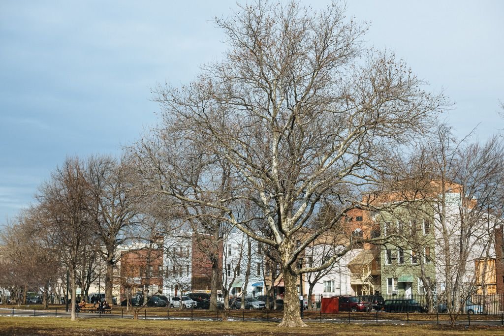 williamsburg brooklyn