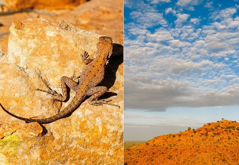 outback australia