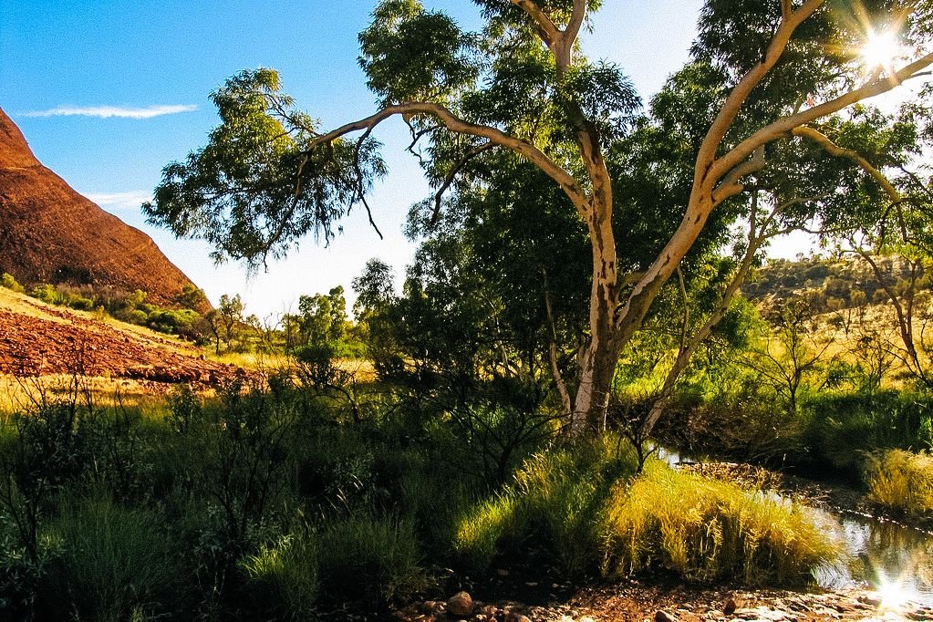 kata tjuta australia