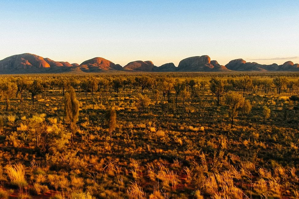 olgas australia