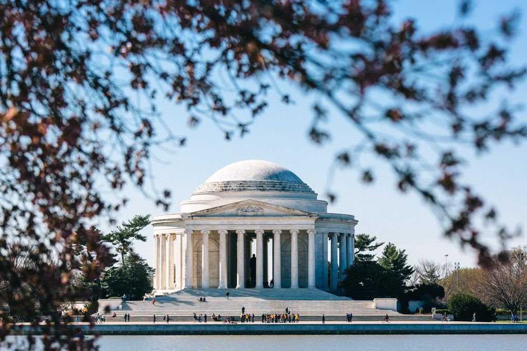 dc cherry blossoms