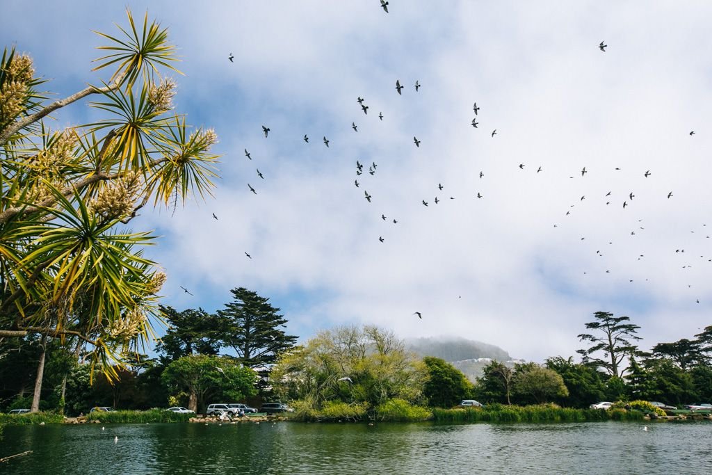 golden gate park