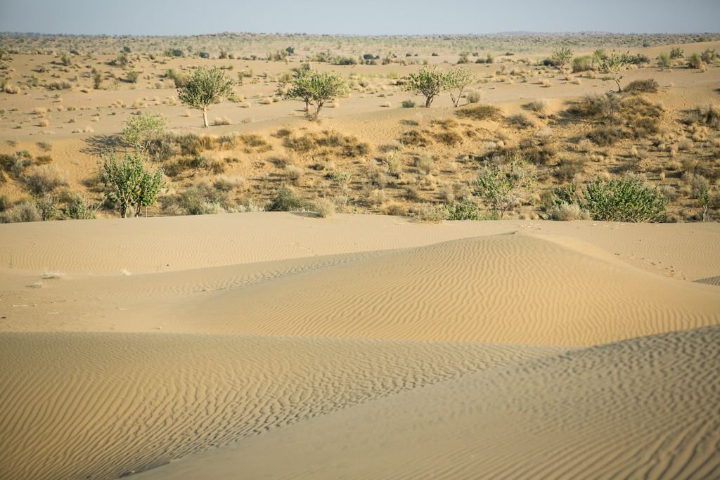 Thar Desert India