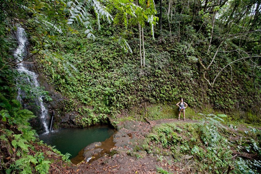 Waimanu campsite