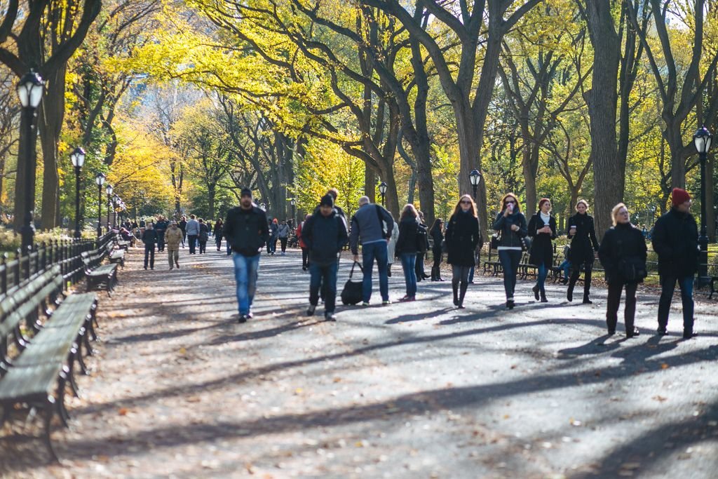 Central Park fall foliage