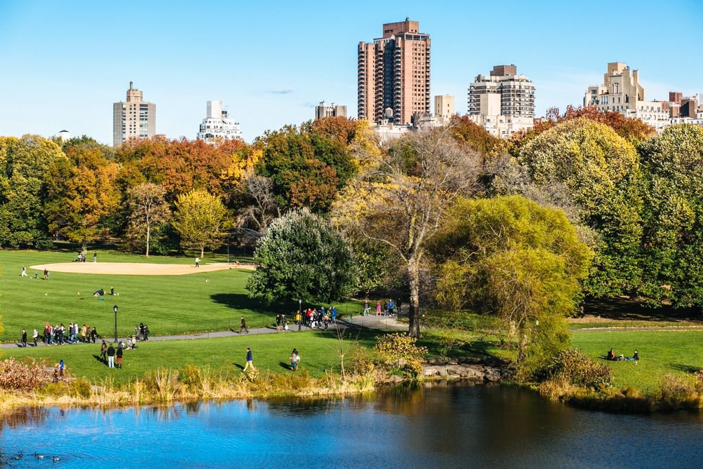 Central Park fall foliage