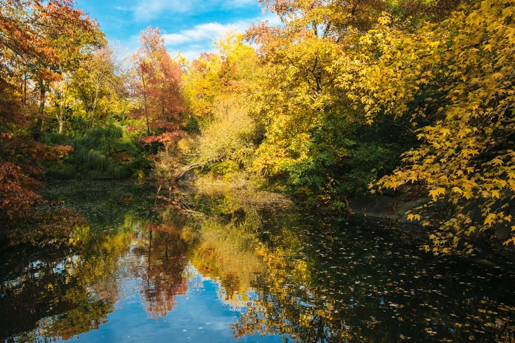 New York Fall Foliage