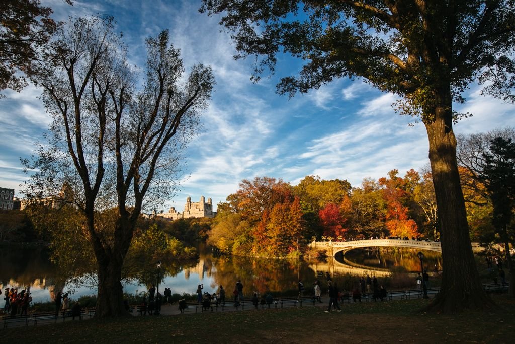 Central Park fall foliage