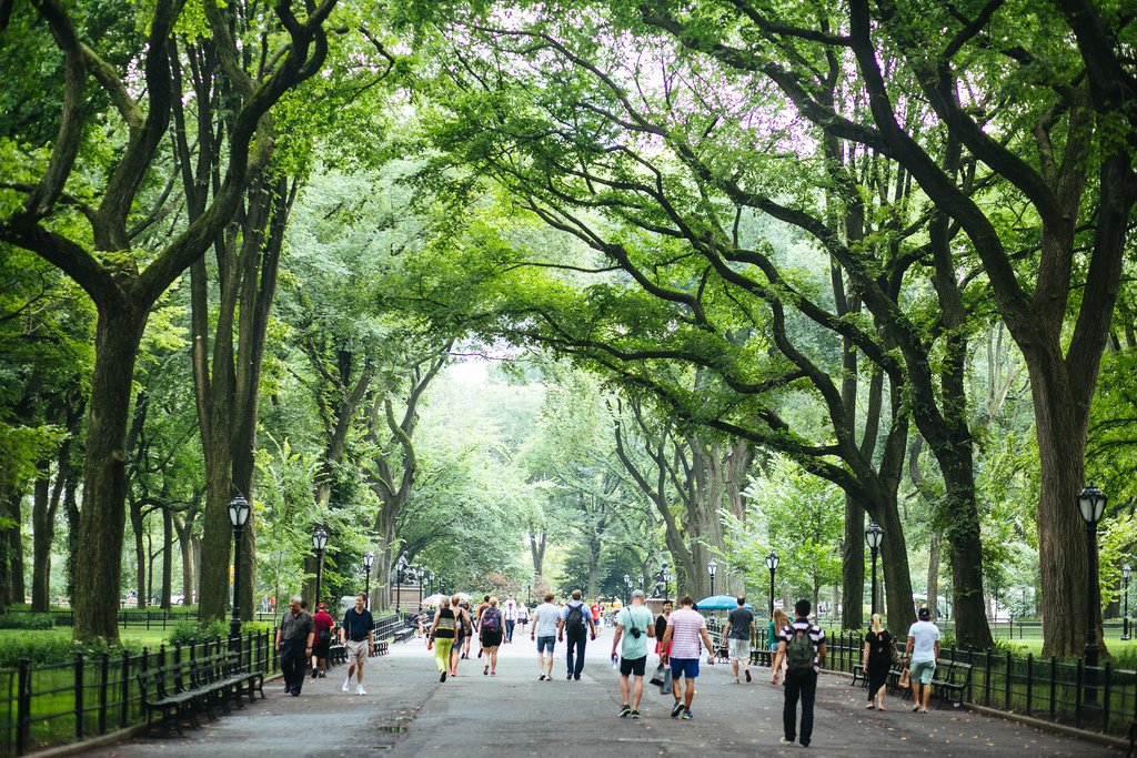 outdoor things to do in nyc