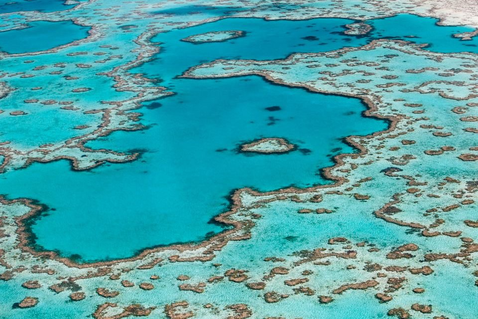 Heart Reef in the Whitsundays