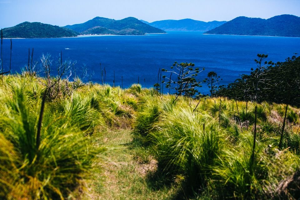 Camping on South Molle Island in the Whitsundays