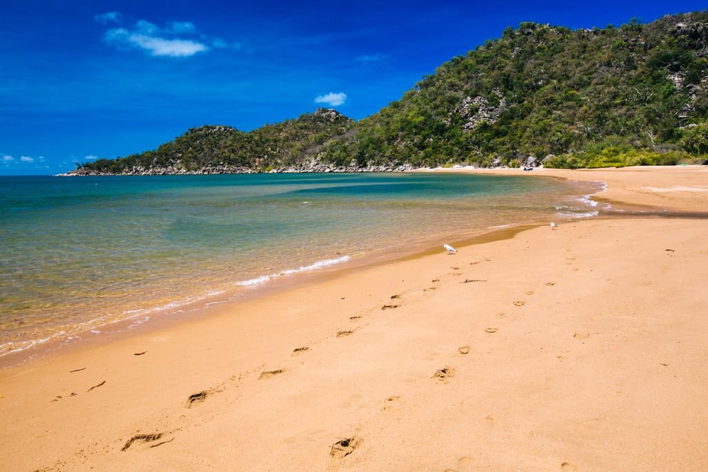 magnetic island ferry