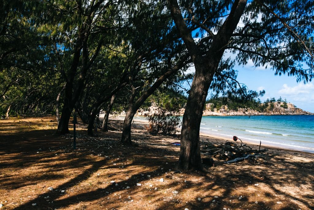 magnetic island ferries