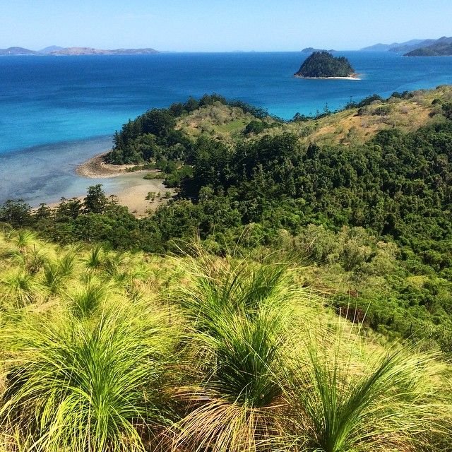 South Molle Island Queensland