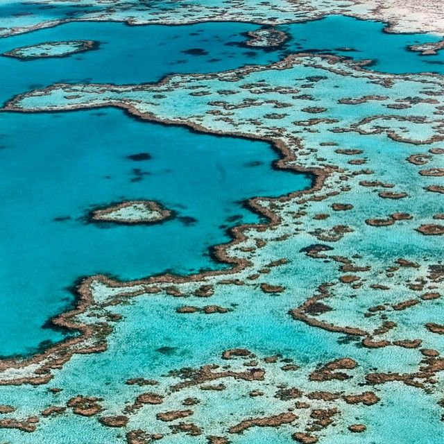 Great Barrier Reef scenic flight