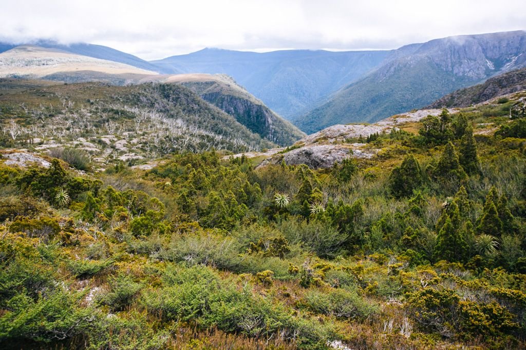 Hiking the Overland Track in Tasmania