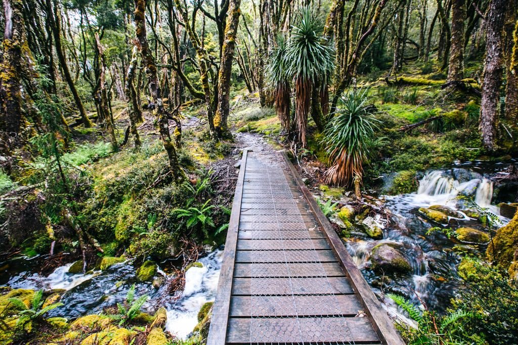 Hiking the Overland Track in Tasmania