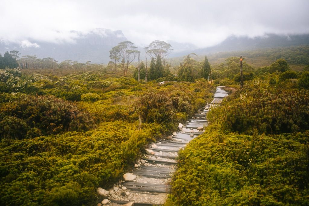 overland track tasmania