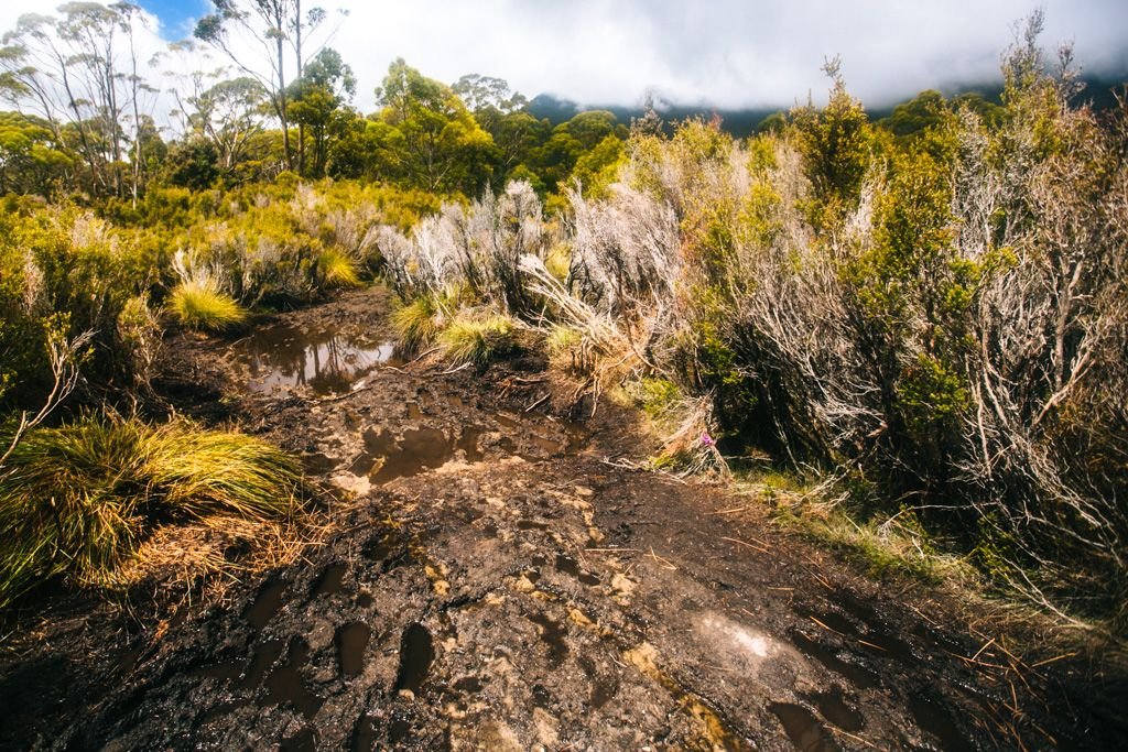 Overland Track mud