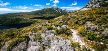 Overland Track: What You Should Know About This Hike | Frugal Frolicker