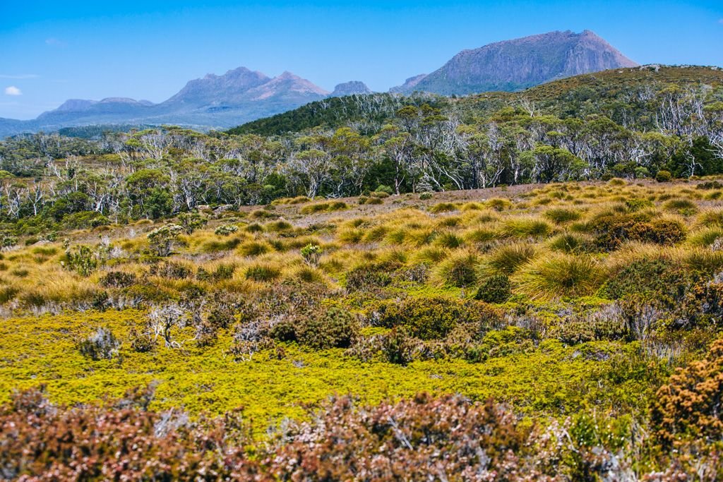 Overland Track tips