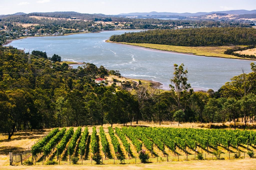 Tamar Valley wine tasting