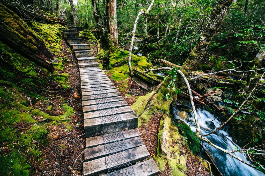 Overland Track in Tasmani