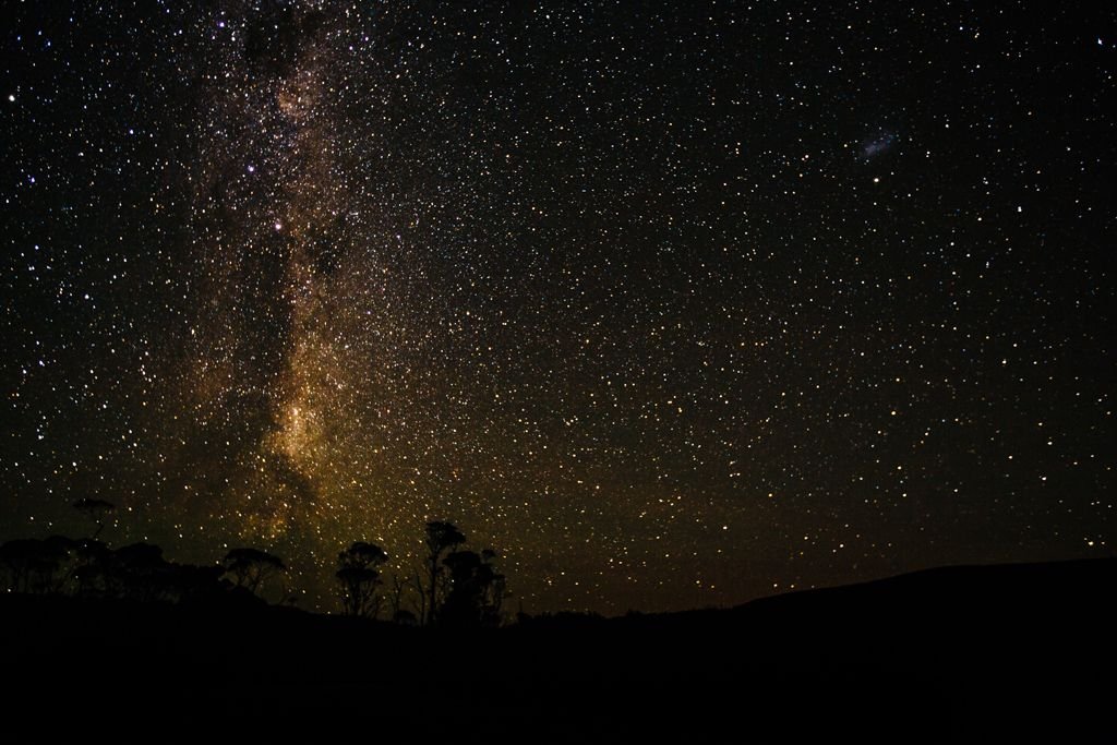 Overland Track stars