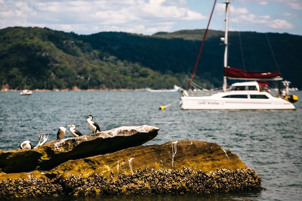 Sydney's Northern Beaches - Palm Beach