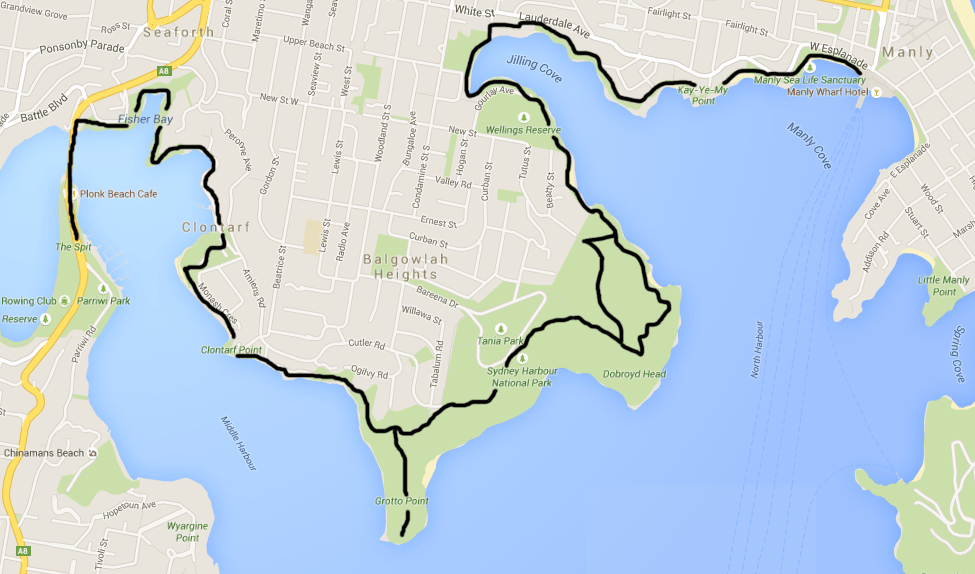 spit to manly walk map