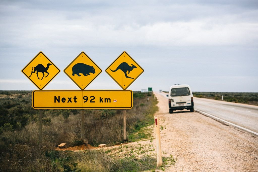 Nullarbor roadtrip