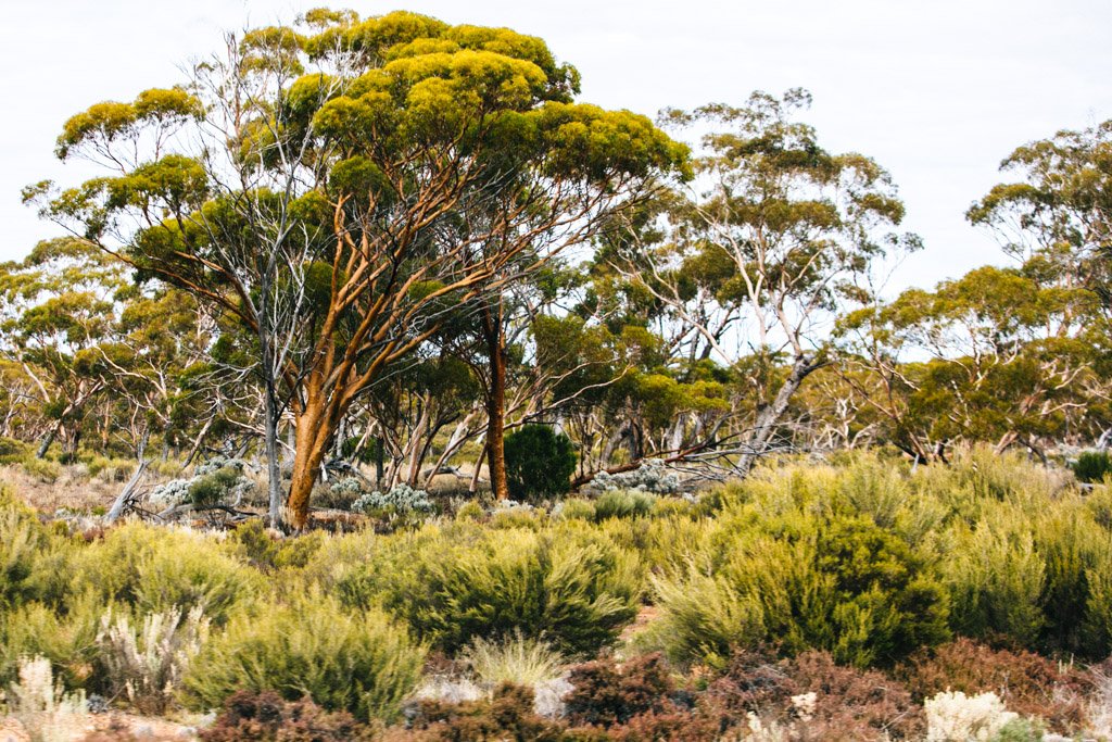 perth to melbourne drive