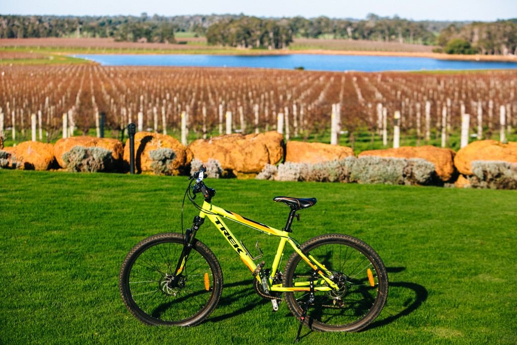 Margaret River cycling wine tour