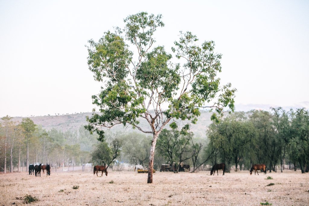 El Questro, The Kimberley