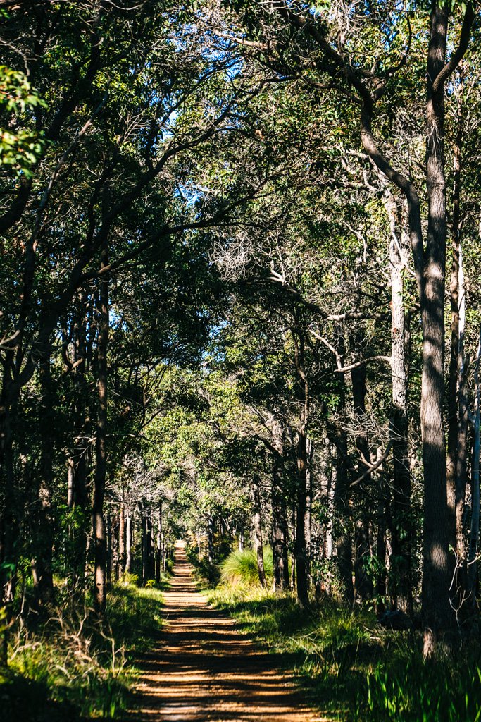 Margaret River cycling