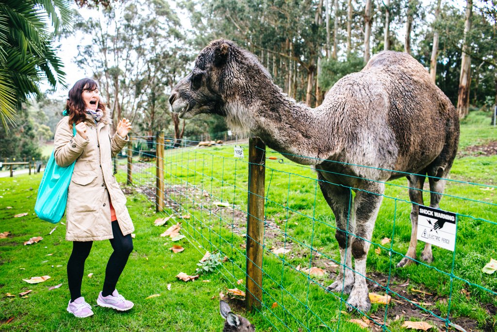 Denmark Animal Farm in Australia