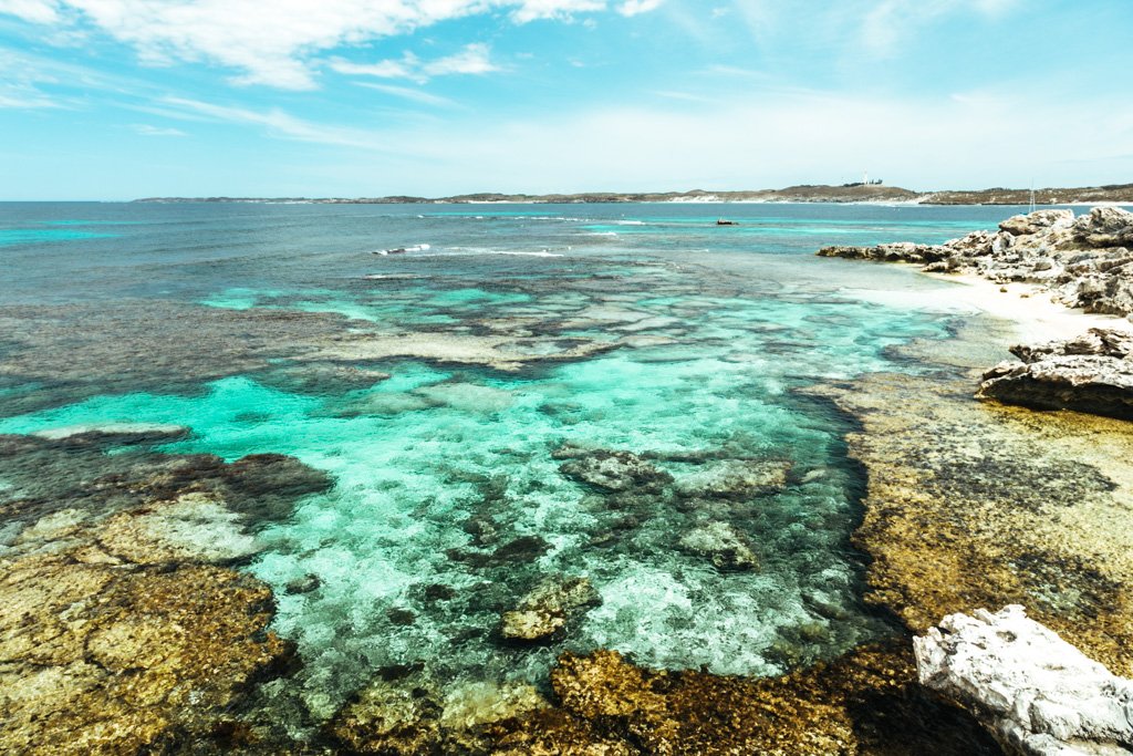 Rottnest island day trip