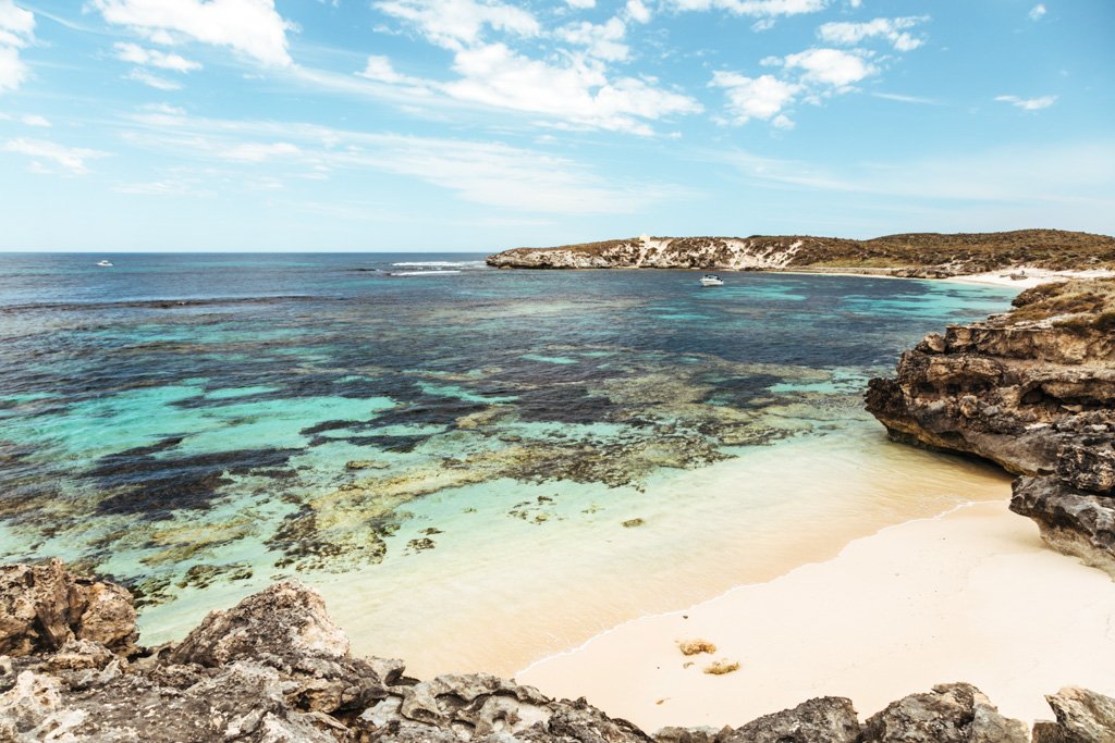 Rottnest island day trip